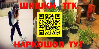 шишки Конаково