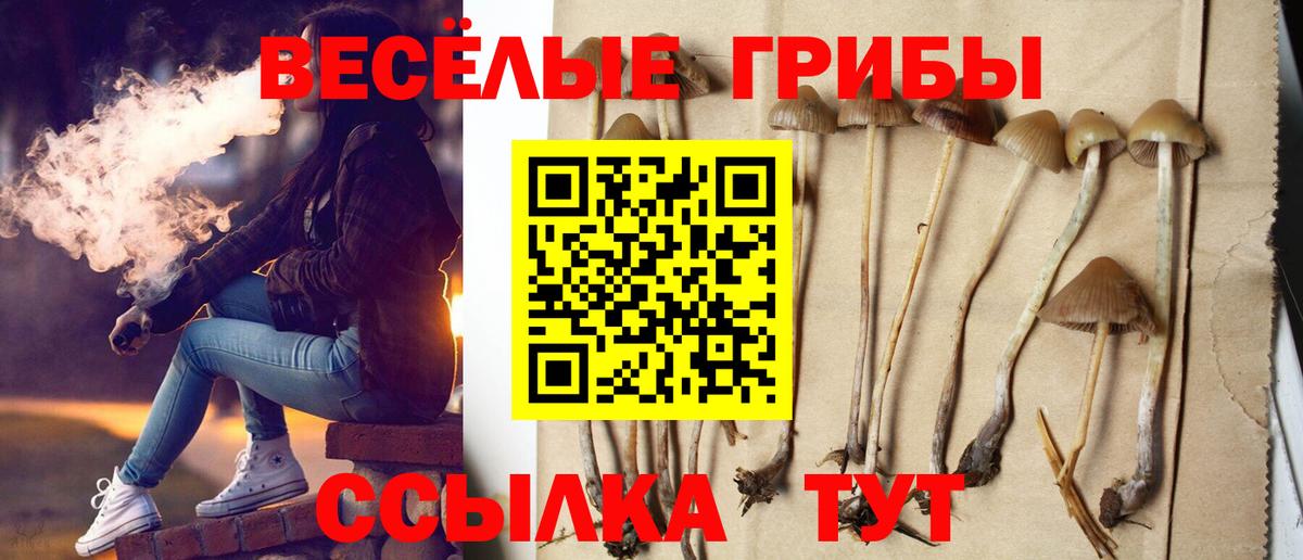 Псилоцибиновые грибы Psilocybine cubensis Чебаркуль